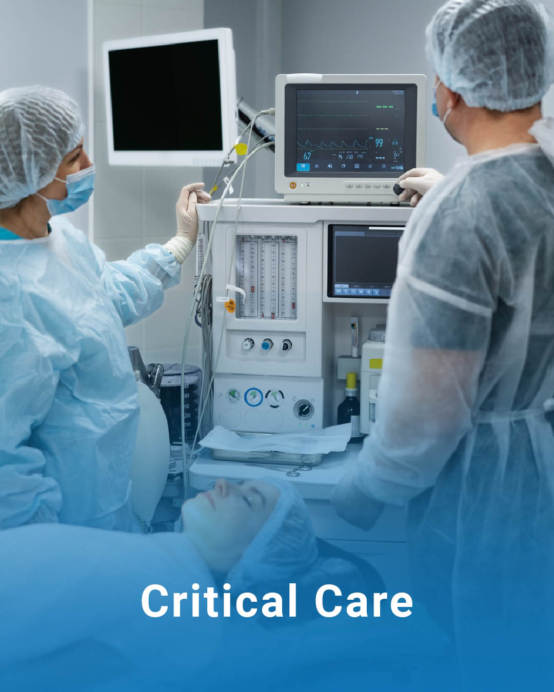 Fresh from Farm to Table - 39