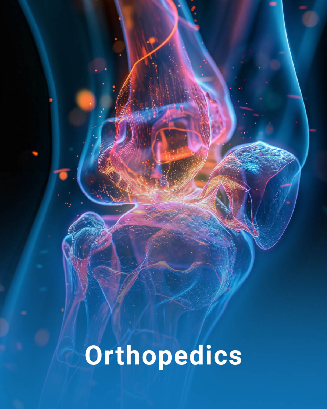 Fresh from Farm to Table - 39