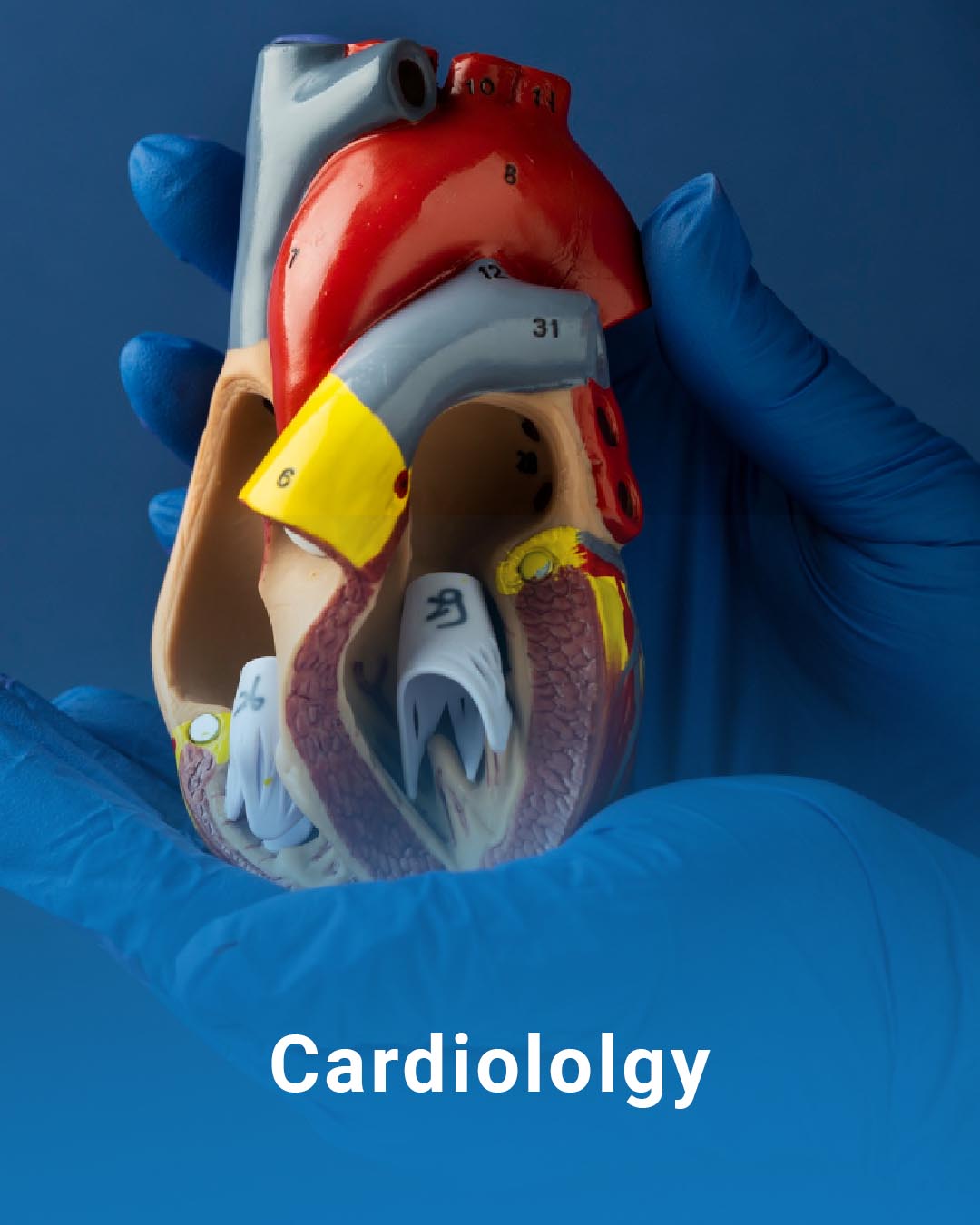 Fresh from Farm to Table - 39